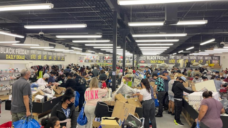 A crowded bin store bustling with shoppers sorting through boxes and merchandise, with bold signage overhead advertising “Black Friday Daily Deals” and prices decreasing each day of the week, creating an energetic bargain-hunting atmosphere.