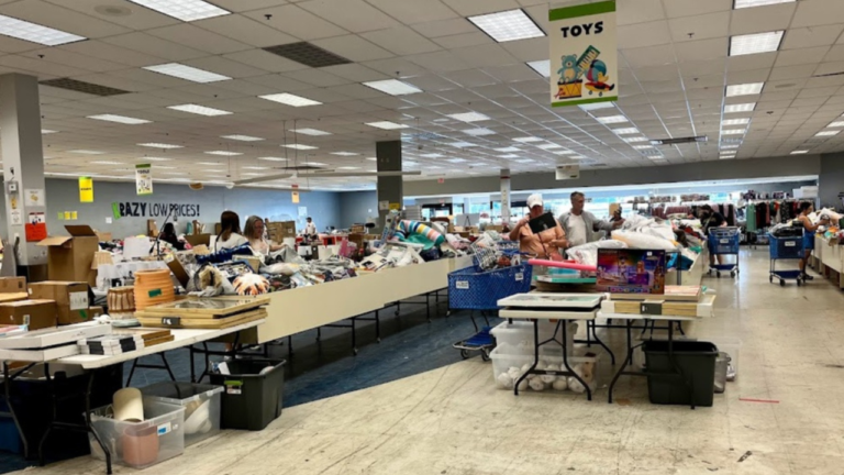 Shoppers browsing through organized bins filled with assorted items including toys, household goods, and textiles in a bin store offering discounted prices.