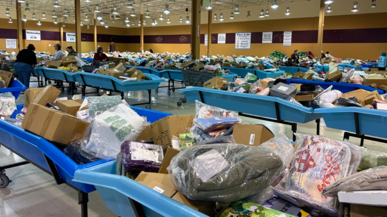 Large indoor bin store with rows of blue bins filled with assorted boxed and bagged merchandise; shoppers sift through the items under bright lighting, with price signs for each day of the week displayed on the walls.