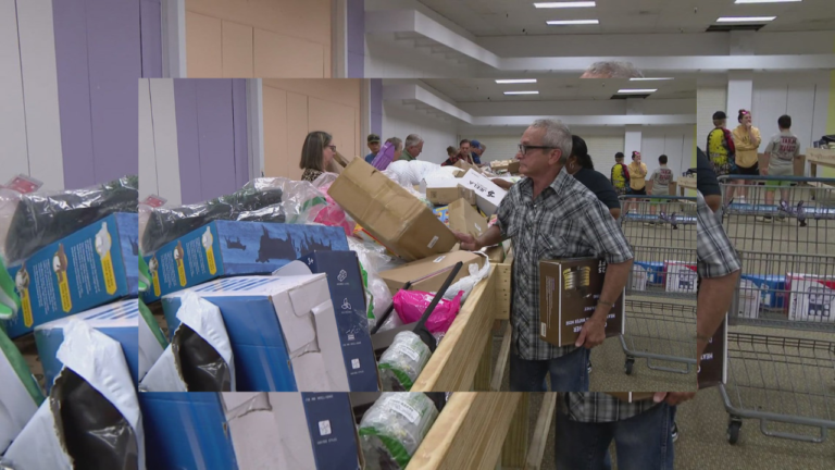 # Why Bin Store Inventory Is Getting Better (And What to Watch For) Bin stores have always been a haven for bargain hunters and resellers, offering a treasure hunt experience where every visit can bring unexpected finds. Recently, however, shoppers have started to notice something encouraging: the inventory at many bin stores seems to be improving—not just in quantity but in quality. But what’s driving this trend, and how can shoppers make the most of it? Let’s dive into the reasons behind this improvement and explore what savvy shoppers should be watching for on their next bin store trip. ## The E-Commerce Boom and Surplus Liquidations ### More Returns, More Inventory The rapid growth of online shopping has dramatically changed the retail landscape. With more people buying online, product returns have skyrocketed. Major retailers like Amazon, Walmart, and Target often can't restock returned items due to packaging damage, opened boxes, or simply the cost of inspection. Instead, these items are liquidated in bulk, creating a steady stream of high-quality merchandise for bin stores. This surplus includes electronics, household goods, apparel, toys, and even high-end items—all in near-new condition. ### Overstock and Seasonal Clearance Retailers frequently overestimate demand, leading to overstock situations. Additionally, seasonal merchandise that didn’t sell during peak periods also ends up in liquidation channels. This means bin stores are regularly receiving brand-new items that are simply out of season or excess inventory. ## Increased Competition Among Liquidators ### Higher Standards for Inventory As the liquidation industry grows, more companies are vying for contracts with major retailers. This competition has forced liquidators to improve sorting processes, ensuring that bin stores receive better-quality products with fewer damaged or non-functional items. Shoppers searching for **amazon bin stores near me** may notice that newer stores often carry well-organized bins with a higher percentage of desirable merchandise compared to a few years ago. ### Direct Sourcing Relationships Some bin stores are now cutting out middlemen and forming direct partnerships with liquidators or even retailers themselves. These relationships allow stores to cherry-pick higher-value pallets, reducing the number of broken or incomplete items and giving shoppers access to premium inventory. ## The Rise of Customer Expectations ### Bin Stores Responding to Shopper Feedback As bin stores grow in popularity, shoppers have become more vocal about what they want: better quality, more variety, and fewer broken or missing parts. Store owners who listen to customer feedback are investing in better sourcing, more frequent restocking schedules, and more thorough pre-sorting to meet these expectations. ### Loyalty Programs and VIP Access Some bin stores now offer loyalty programs, early bird shopping hours, or VIP memberships that allow frequent shoppers first access to new inventory. These programs are part of a broader effort to cater to serious bargain hunters who value both selection and quality. ## Trends to Watch for in 2025 and Beyond ### Smarter Sorting Technology Advancements in AI and automation are helping some liquidators and bin stores improve how they sort and grade inventory. This means we’re likely to see even fewer damaged items and better organization in bins, making shopping more efficient. ### Expanded Product Categories Bin stores are increasingly receiving inventory from categories previously uncommon in liquidation, such as fitness equipment, luxury home goods, and even high-end electronics. Keep an eye out for these expanding categories, as they offer tremendous resale potential and personal savings. ### Sustainability and Eco-Friendly Initiatives Consumers are becoming more aware of the environmental benefits of purchasing liquidation items. Some bin stores are starting to market themselves as part of the circular economy—helping reduce waste by giving unsold merchandise a second chance at life. This sustainability focus may further improve the quality and consistency of inventory as retailers seek greener solutions. ## How to Make the Most of the New Wave of Inventory ### Arrive Early and Often Better inventory draws larger crowds, so timing is everything. Many stores release fresh merchandise on specific days. If your local store has a restock schedule, try to be among the first shoppers when new items hit the bins. ### Learn the Pricing Structure Most bin stores follow a tiered pricing model, with prices dropping each day as inventory sells through. Knowing when to go based on your budget and shopping goals can help you maximize value. ### Inspect Items Carefully Even as inventory quality improves, always check items for damage, missing parts, or compatibility issues—especially with electronics and appliances. ### Network with Other Shoppers Building relationships with fellow regulars can give you insider knowledge about when high-quality pallets arrive or when special sales are happening. This can give you a competitive edge, especially at popular [**amazon bin stores near me**](https://binstoresnearme.us/). Bin stores are evolving, and shoppers willing to adapt their strategies are well-positioned to take advantage of the improved inventory. With better sourcing, smarter sorting, and increasing competition among liquidators, the future looks bright for bargain hunters eager to score incredible deals.